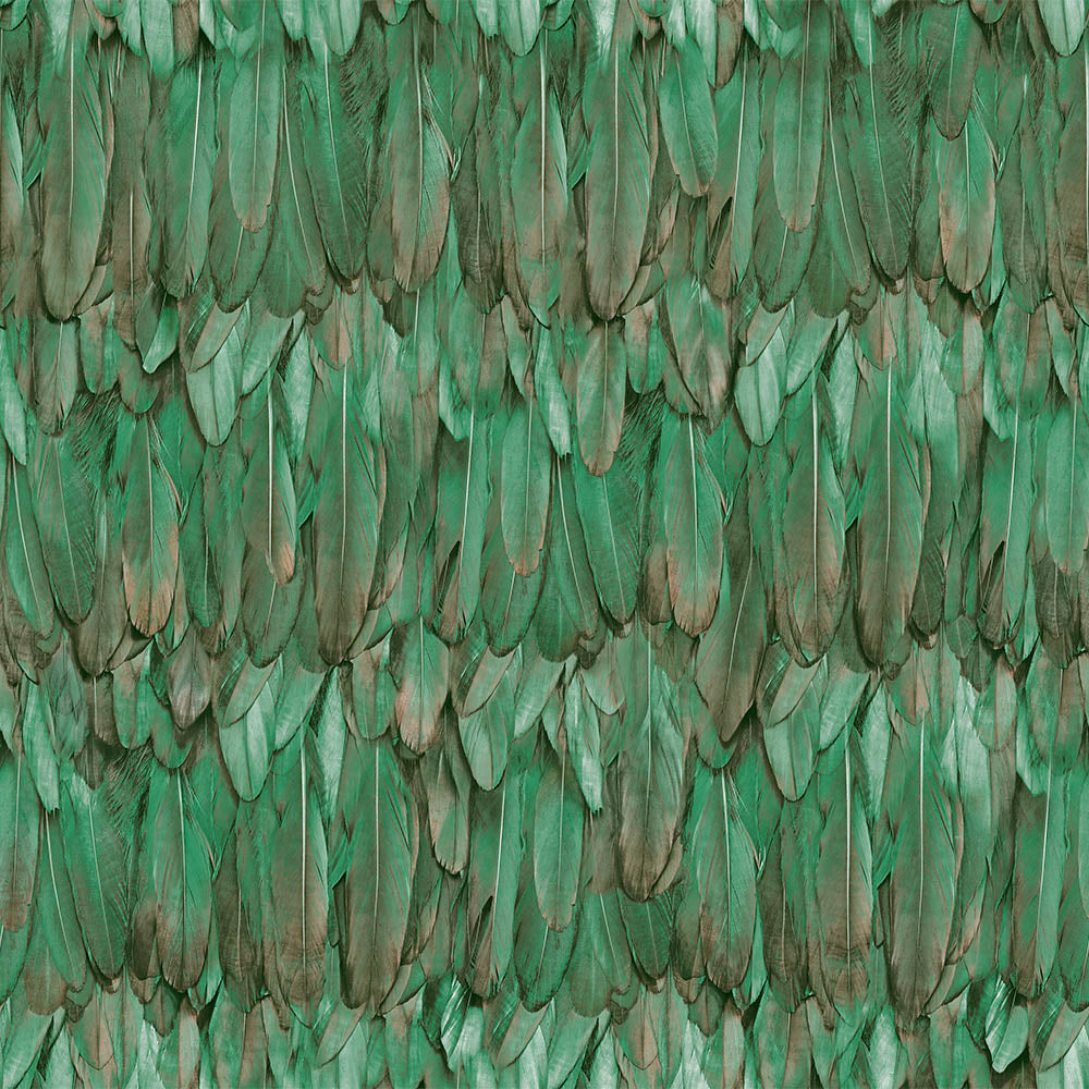 TROPICANO | Modern Bird Feather Patterned Wallpaper